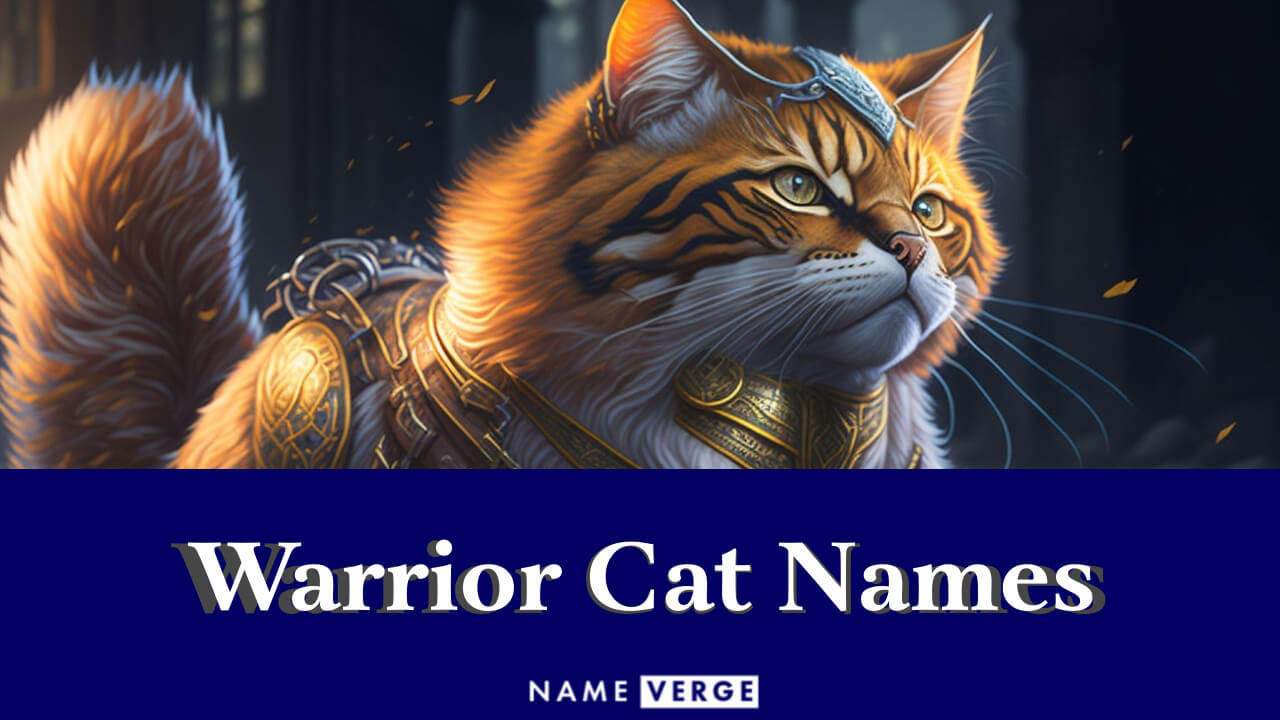 Warrior Cat Names: 399+ Cool Names For Your Warrior Cats