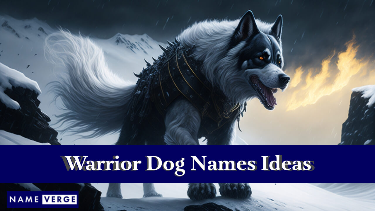 Warrior Dog Names Ideas