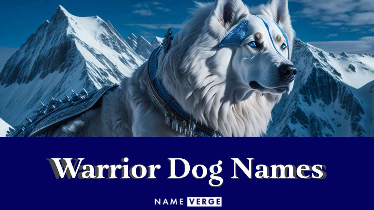 Warrior Dog Names: 505+ Cool Warrior Dog Names