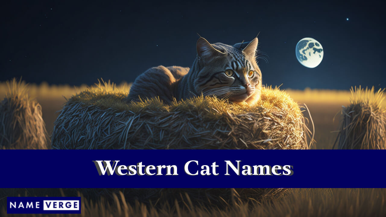 Western Cat Names