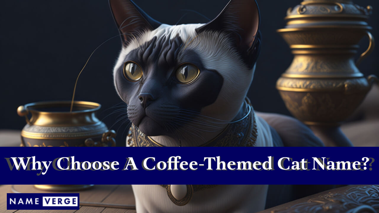 Why Choose A Coffee-Themed Cat Name?