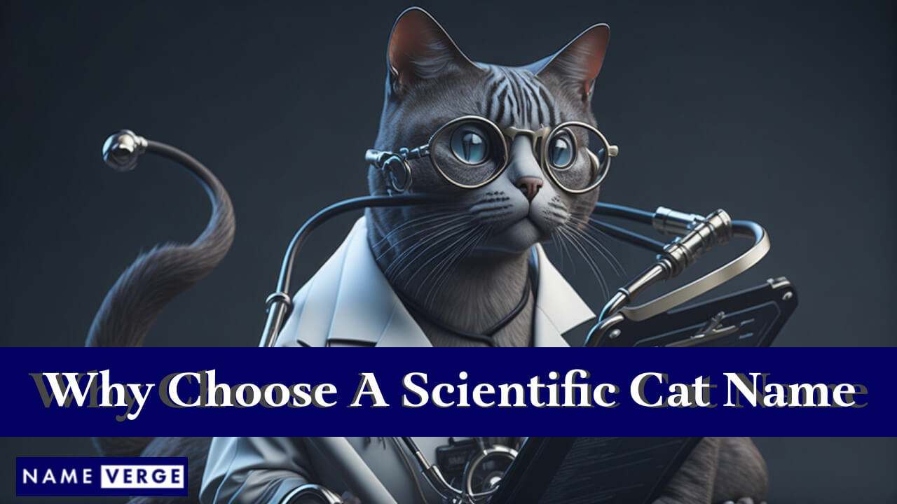 Why Choose A Scientific Cat Name