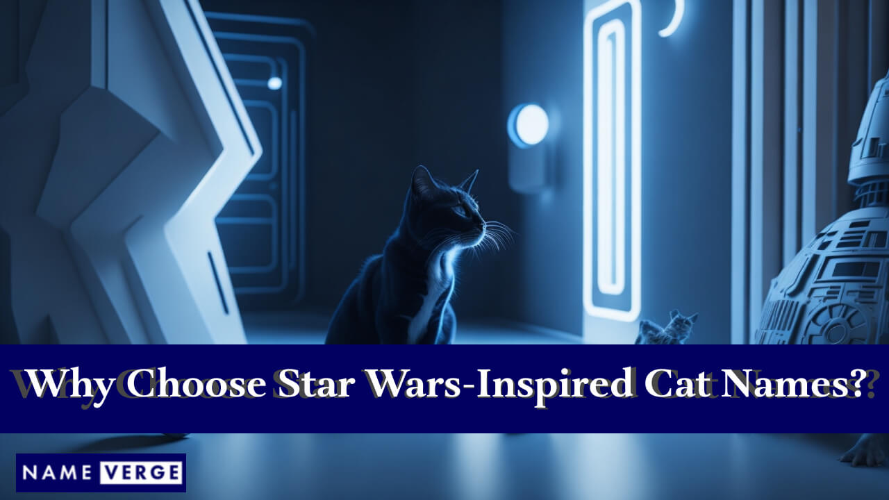 Why Choose Star Wars-Inspired Cat Names?