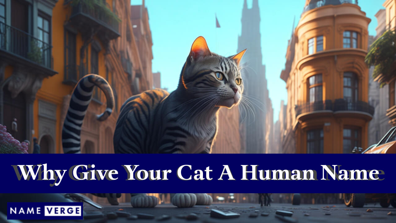 Why Give Your Cat A Human Name?