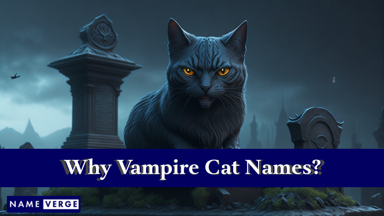 Why Vampire Cat Names?