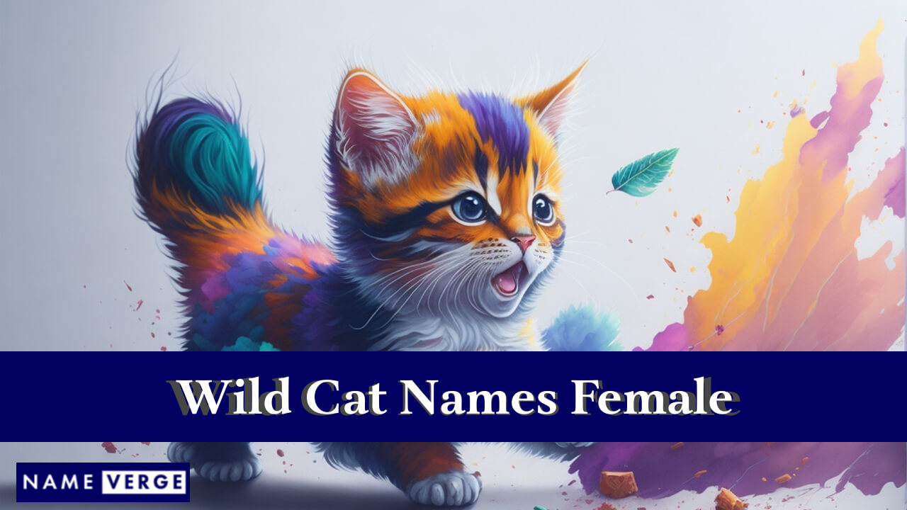 Wild Cat Names Female