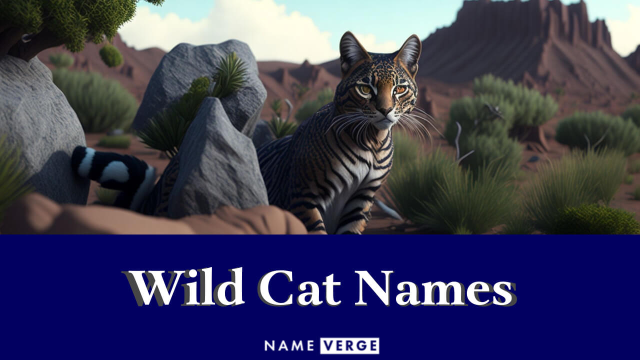Wild Cat Names: 150 Wild Names For Your Ferocious Cat