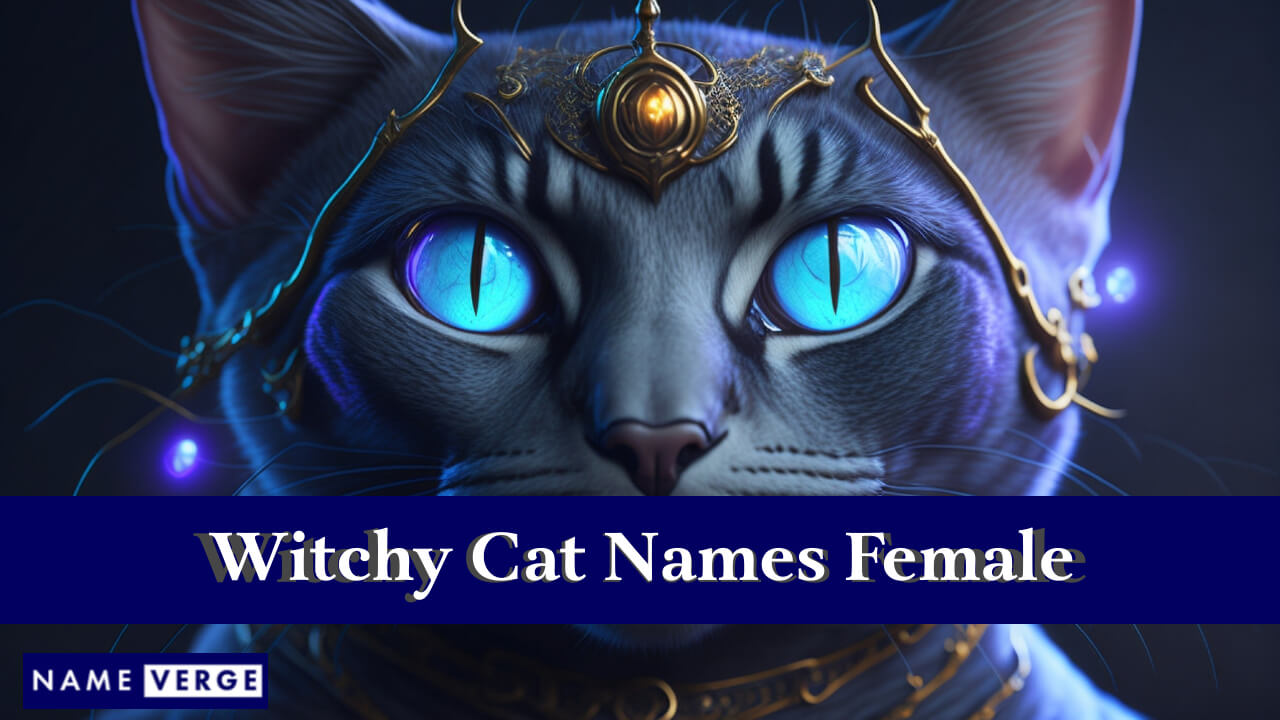 Witchy Cat Names Female