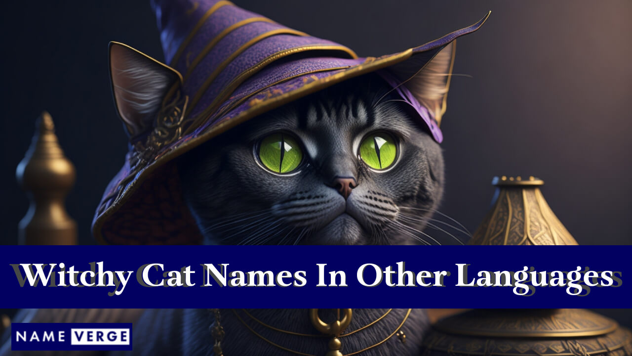 Witchy Cat Names In Other Languages