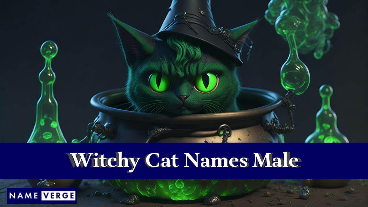 Witchy Cat Names Male