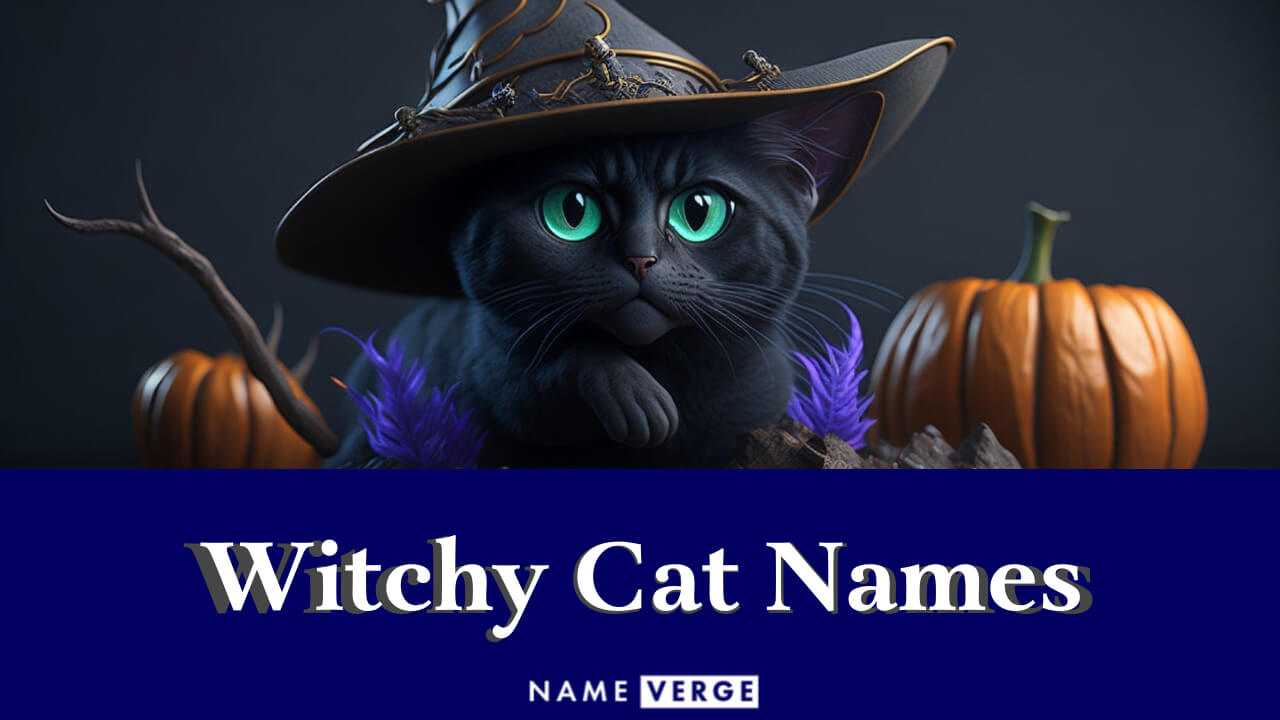Witchy Cat Names: 350+ Magical & Witchy Names For Cats