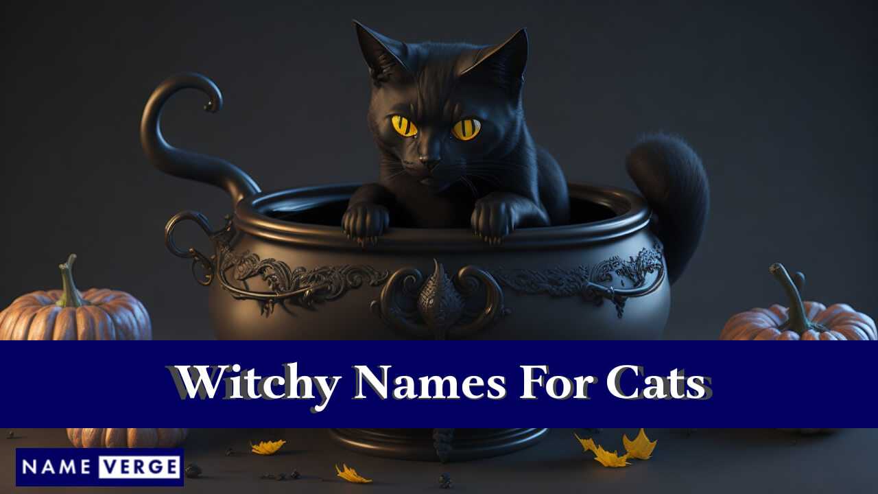 Witchy Names For Cats