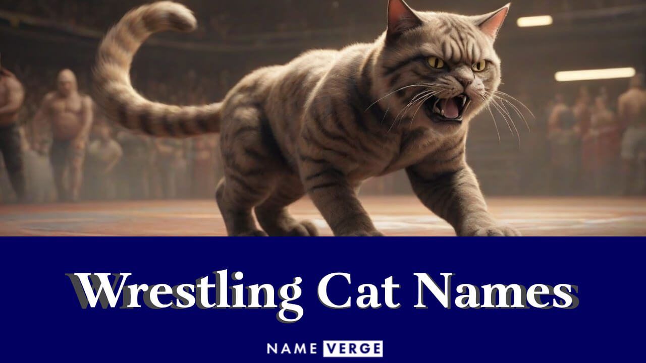 Wrestling Cat Names: 212+ Best Names For Your WWE Fans
