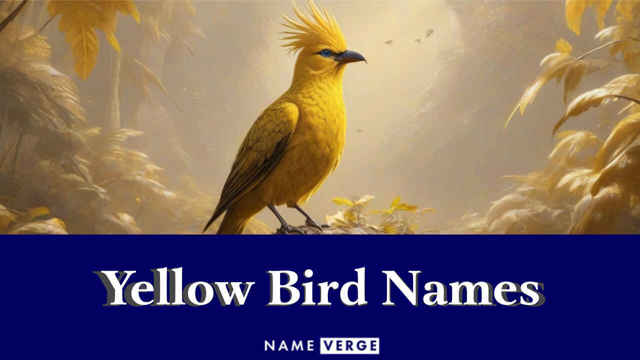 Yellow Bird Names: 711+ Cute Names For Yellow-Colored Birds